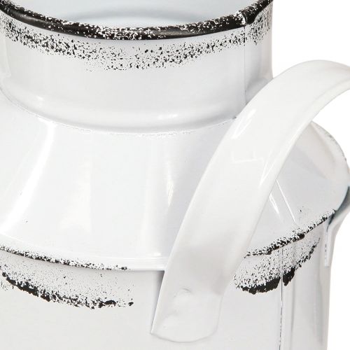 Prodotto Brocca decorativa con manici in metallo bianco, nero H13cm 2pz