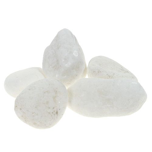 Floristik24 Ciottoli decorativi nella rete bianca 1 cm - 2,5 cm 1 kg