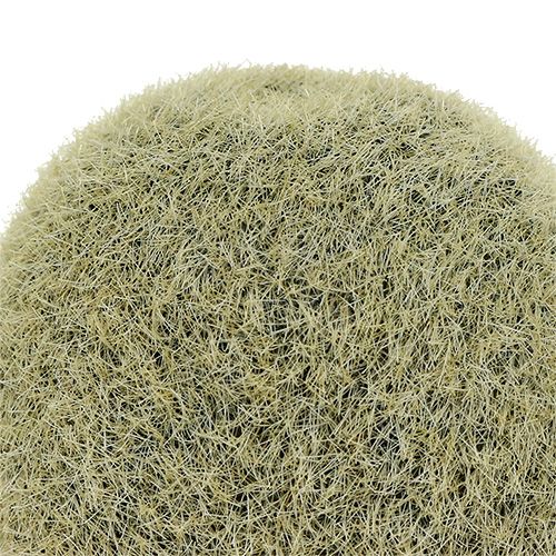 Floristik24 Decorazione Kiwi 6cm 6pcs