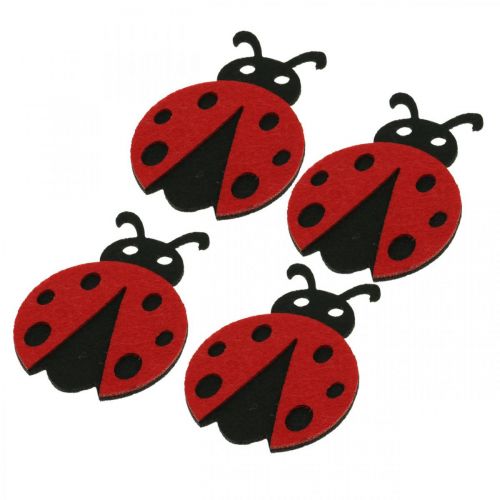 Floristik24 Clip decorative coccinella, molla, scarabeo portafortuna da decorare, decoro in feltro 16pz