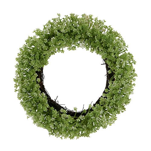 Floristik24 Corona decorativa verde Ø25cm