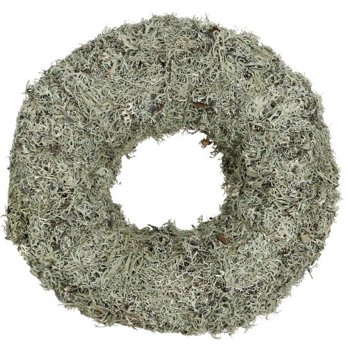 Floristik24 Ghirlanda decorativa, ghirlanda di muschio grigio Ø38cm 1p
