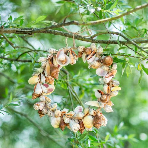 Floristik24 Corona decorativa conchiglie e lumache decorazione marittima naturale Ø30cm