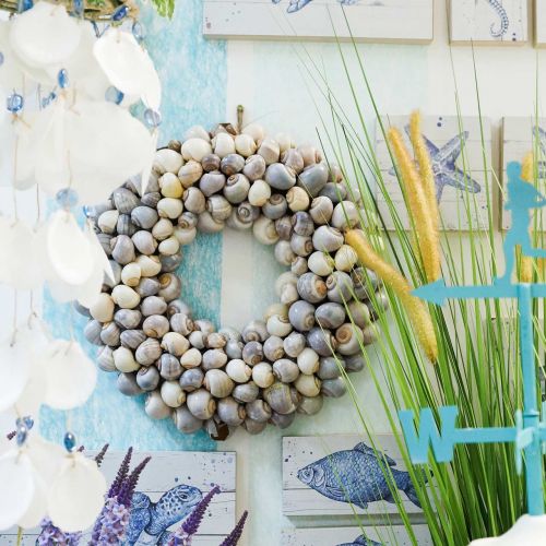 Floristik24 Ghirlanda di lumache per appendere ghirlanda decorativa marittima Nathai Ø35cm
