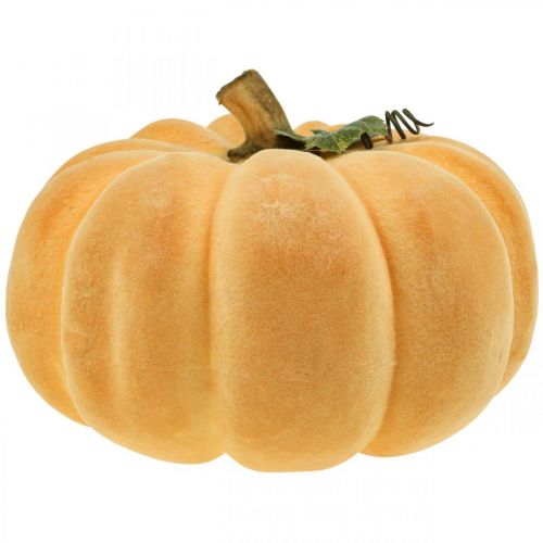 Floristik24 Decorazione autunnale floccata di zucca decorativa arancio chiaro Ø30cm