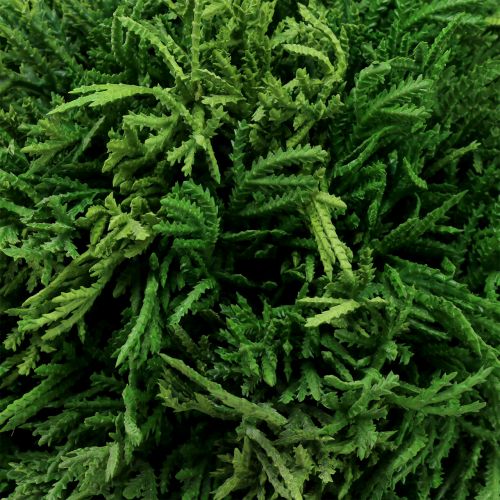 Floristik24 Sfera per piante artificiali da appendere verde Ø20cm