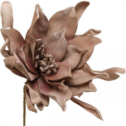 Floristik24 Deco fiore di loto fiore di loto artificiale fiore artificiale marrone L68cm