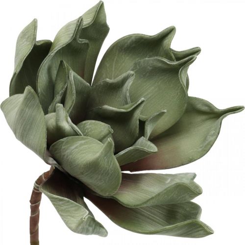 Floristik24 Deco fiore di loto, fiore di loto, fiore di seta verde L64cm