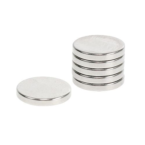 Floristik24 Magneti decorativi Ø1,3cm 6pz