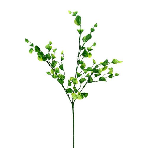 Floristik24 Rametto di menta Deco verde L74cm 6pz
