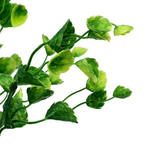 Floristik24 Rametto di menta Deco verde L74cm 6pz