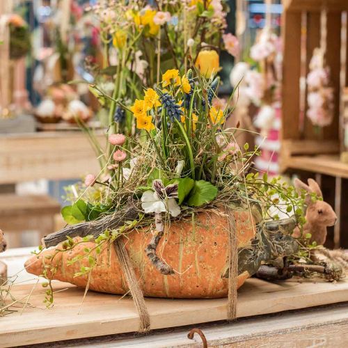 Prodotto Carota decorativa, decorazione in cemento per piantare, Pasqua, vaso per piante di carote, decorazione primaverile L28cm
