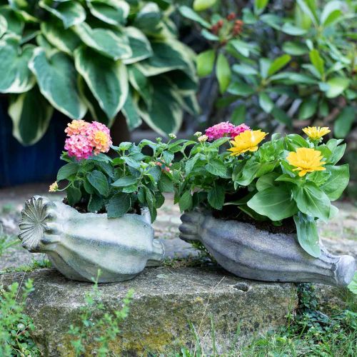 Floristik24 Capsula decorativa papavero, fioriera in cemento, cachepot, decorazione tomba L26cm