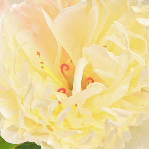 Prodotto Decorazione Peonie Fiori Artificiali Fiori Gialli L64cm 2pz