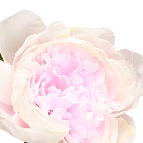 Prodotto Decorazione Peonie Rosa 3 Fiori Gambo Lungo L80cm 2pz