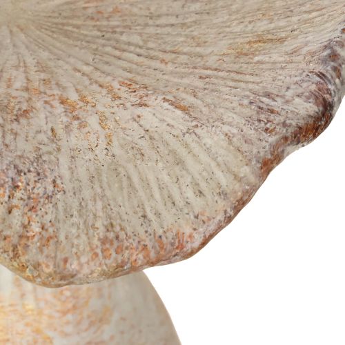 Prodotto Decorazione autunnale in pietra artificiale a forma di fungo, colore grigio lavato 19×15cm H23cm