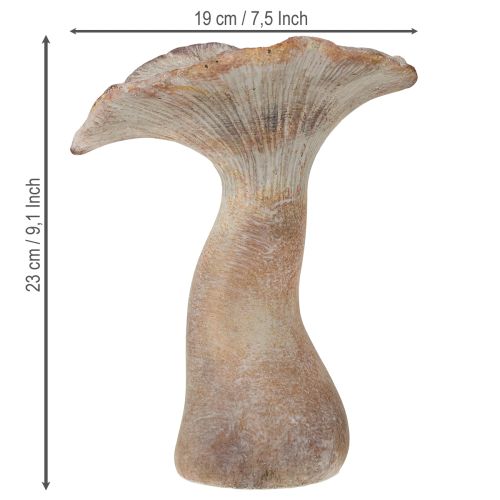 Prodotto Decorazione autunnale in pietra artificiale a forma di fungo, colore grigio lavato 19×15cm H23cm