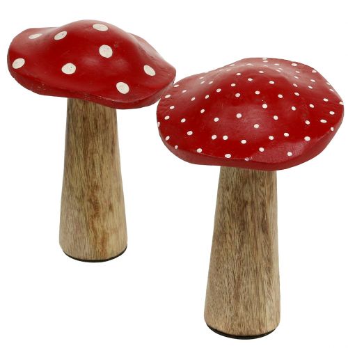Floristik24 Funghi in legno 14 cm 6 pezzi