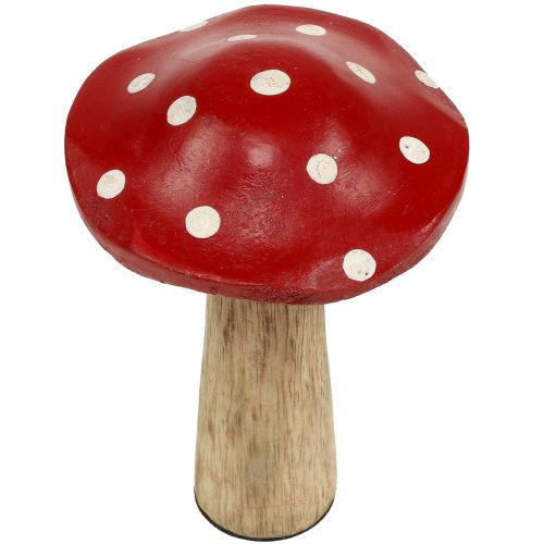 Floristik24 Funghi in legno 14 cm 6 pezzi