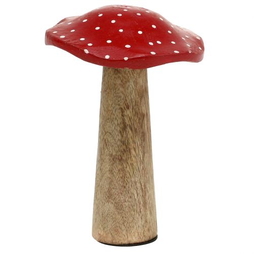Floristik24 Funghi in legno 14 cm 6 pezzi