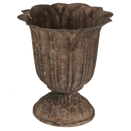 Floristik24 Trofeo decorativo antico mini vaso per piante grigio marrone Ø12cm H13cm