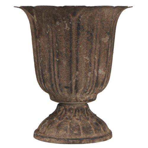 Floristik24 Trofeo decorativo antico mini vaso per piante grigio marrone Ø12cm H13cm