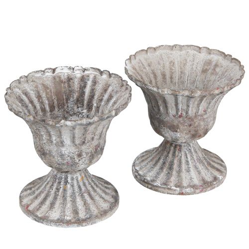 Floristik24 Tazza Decorativa Rustica Calice Antico Grigio Bianco Ø8cm H8,5cm 2pz
