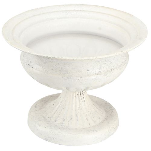 Floristik24 Ciotola trofeo decorativa Coppa in metallo antico bianco Ø20cm H15cm