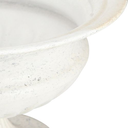 Floristik24 Ciotola trofeo decorativa Coppa in metallo antico bianco Ø20cm H15cm