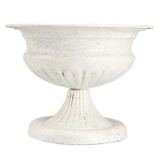 Floristik24 Ciotola trofeo decorativa Coppa in metallo antico bianco Ø20cm H15cm