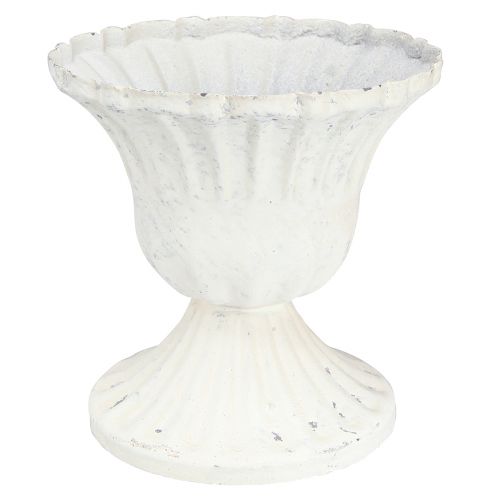 Floristik24 Coppa Decorativa Shabby Chic Calice Bianco Ø8cm H8,5cm 2pz