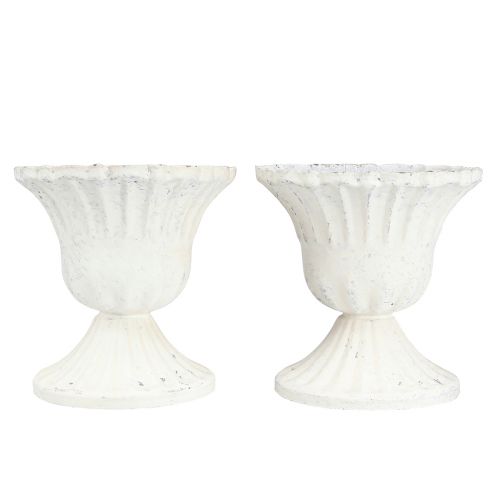 Floristik24 Coppa Decorativa Shabby Chic Calice Bianco Ø8cm H8,5cm 2pz