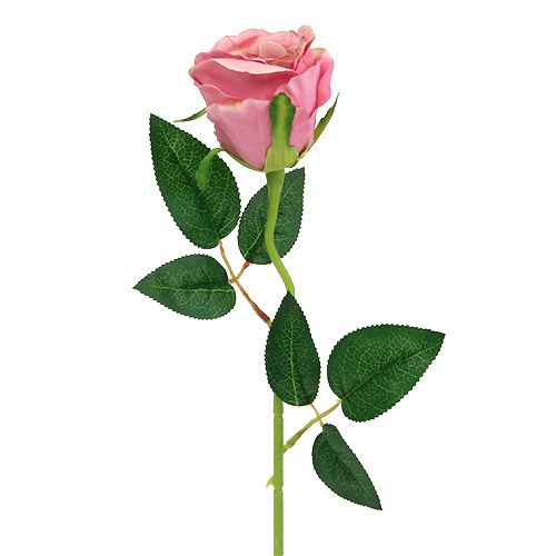 Floristik24 Rosa deco Ø6cm rosa antica L50cm 1pz