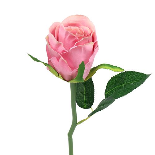 Floristik24 Rosa decorativa Ø6cm rosa L30cm 6 pezzi