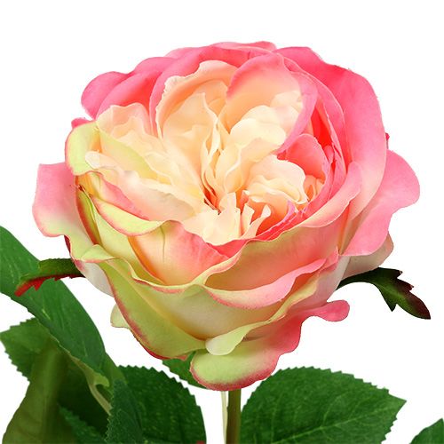Floristik24 Deco Rose Pink Ø10cm 52cm 3 pezzi