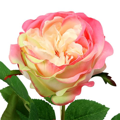 Prodotto Deco Rose Pink Ø10cm 52cm 3 pezzi