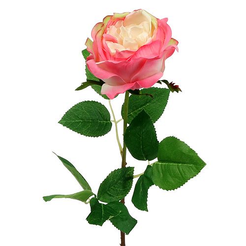Floristik24 Deco Rose Pink Ø10cm 52cm 3 pezzi
