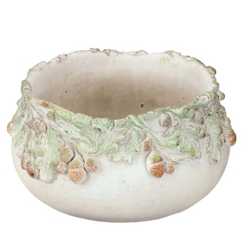 Floristik24 Ciotola decorativa in pietra fusa con ghiande, ciotola per piante, Ø20cm, altezza 10cm