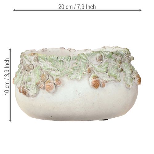Prodotto Ciotola decorativa in pietra fusa con ghiande, ciotola per piante, Ø20cm, altezza 10cm