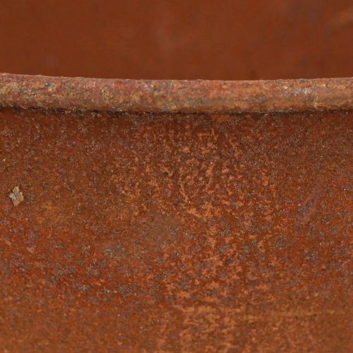 Prodotto Ciotola decorativa con poggiapiedi in metallo ruggine Ø20,5 cm 2 pezzi