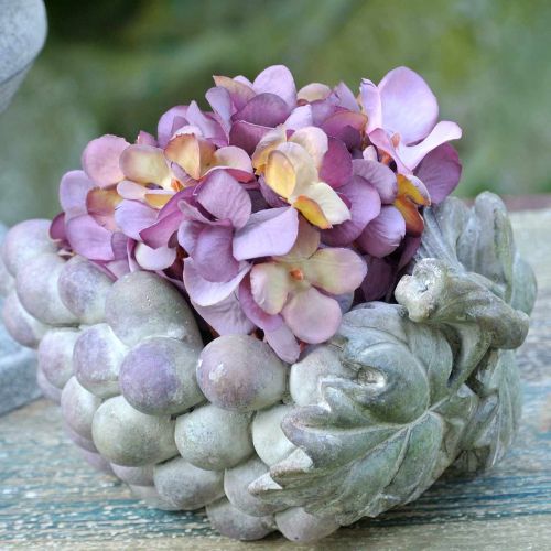 Floristik24 Ciotola decorativa uva grigio porpora crema 19×14 cm H9,5 cm