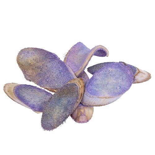 Floristik24 Dischi decorativi viola chiaro 300g