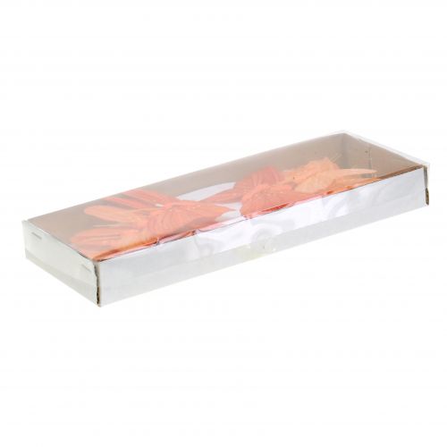 Floristik24 Deco farfalla arancione 12pz