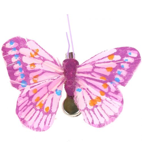 Floristik24 Farfalle decorative sulla clip, colori assortiti 6cm 24 pezzi