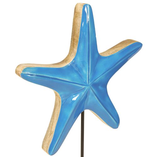 Prodotto Stella marina decorativa su base in legno naturale blu Ø22cm H32cm