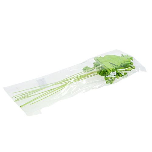 Floristik24 Bastoncini decorativi rana verde 7cm - 10cm 12 pezzi