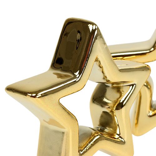Floristik24 Deco Star Gold 6,5cm 6 pezzi