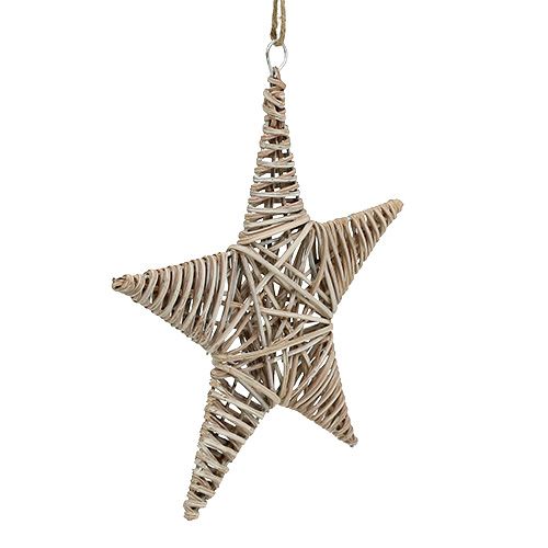 Floristik24 Stella decorativa per appendere 25 cm dalla vite 1pc