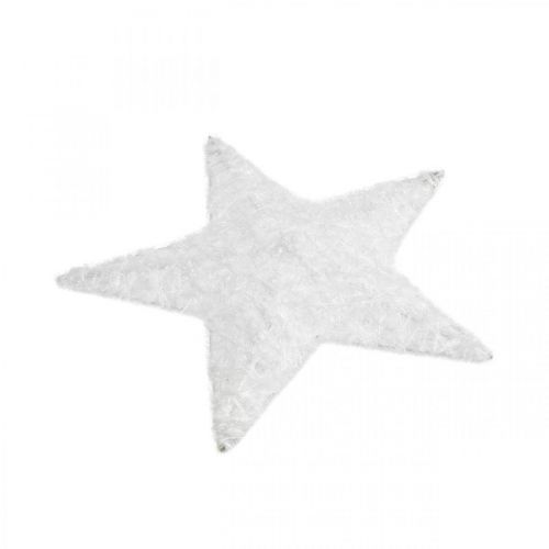 Prodotto Stella addobbo natalizio Stella addobbo natalizio bianco H20cm 4pz