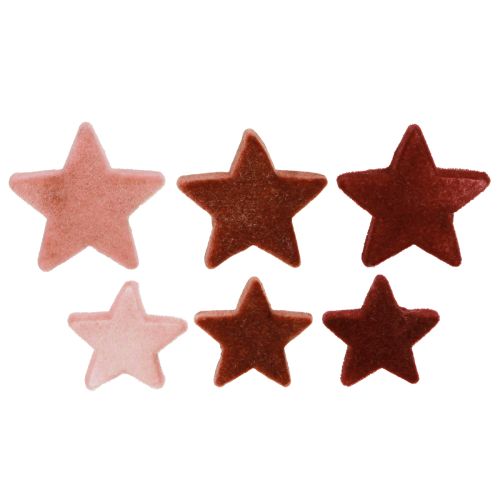 Floristik24 Stelle decorative floccate decorazione sparsa Borgogna Marrone Ø4/5cm 40 pz